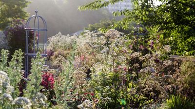 3 Gardening Jobs You Can Definitely Stop Doing in August For an Easier Late-Season Backyard