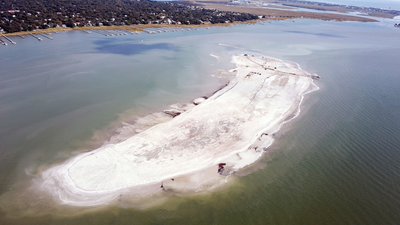 In 2021, South Carolina rebuilt a vanished bird island with 660,000 cubic yards of harbor sand: More than 500 nests appeared the next year