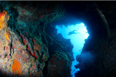 Little Cayman Landowners Challenge UNESCO Bid Over Fears of Tighter Development Rules
