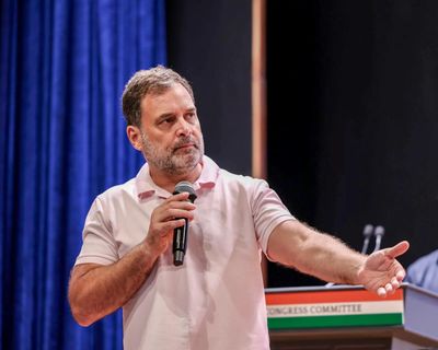 Congress stands with tribals staging 'satyagraha' against 'Ken-Betwa project', will pressure govt: Rahul Gandhi
