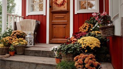 ALDI’s $10 Burgundy Planter Is the Perfect Fall Porch Switch-Up – Here’s How I’d Style It by My Front Door