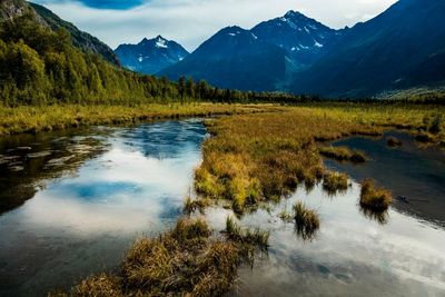 Alaska athlete uses bear spray to fend off animal attack: ‘Nightmare come to life’