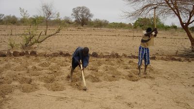 How degradation and drought are threatening the land that feeds us