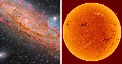 The Universe Like You’ve Never Seen It: 29 Jaw-Dropping Astronomy Photos From The 2026 Zwo Shortlist