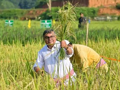 India's crop insurers seek data protection law to expedite farm innovation