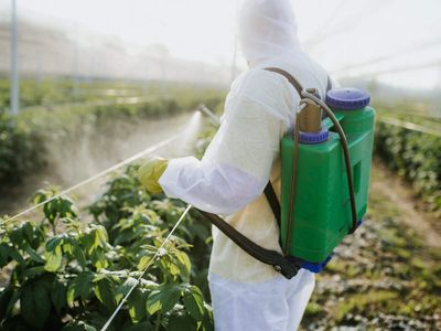 India's agro-chemical companies seek data protection law to expedite farm innovation