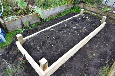 5 Ways to Build a Temporary Nursery Bed for Bargain Perennials