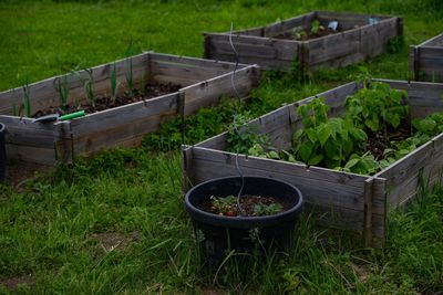 Can You Move a Raised Bed Without Replacing All the Soil?
