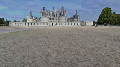 Climate change forces rethink at Chambord's historic gardens