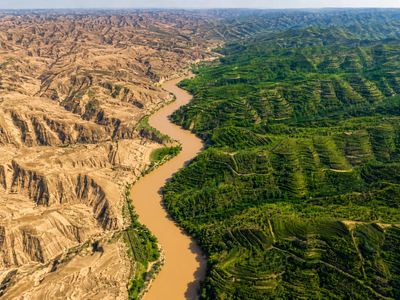 In the 1990s, China began regreening one of Earth's most eroded landscapes; more than 100 million tons of soil stopped entering the Yellow River each year