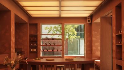 This London Café's Softly Glowing Ceiling Holds the Cure to the Gloomiest Days — It's the Lighting Idea to Steal That Brings the Sunshine Indoors