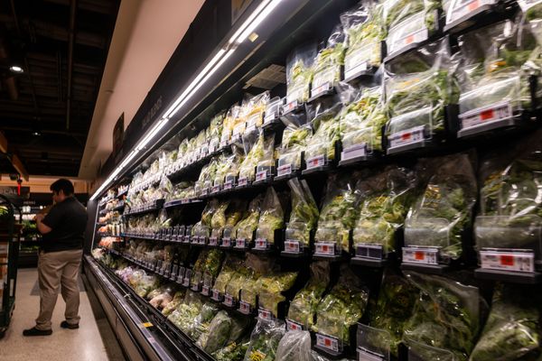 Missouri Cyclospora Cases Reach 1,950 as Doctors See Early Signs the Summer Outbreak May Be Peaking