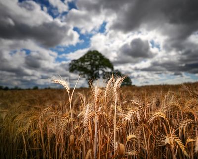 Reform says we need to choose between climate and economy. It’s wrong