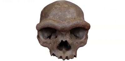 Were Denisovans tall compared to other ancient humans? We should be sceptical