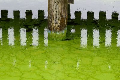 Why a do not swim warning has been issued at London’s only Thames bathing spot