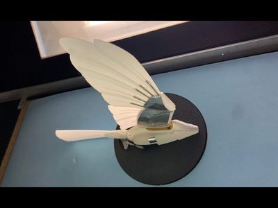 Earlier this year, RMIT engineers tested kestrel-inspired robots against turbulent winds in 2 studies. Today, their findings show that pairing wing and tail movements can boost lift and reduce instability in small aircraft