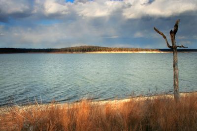 Most Missouri waterways face fecal contamination risk, report finds