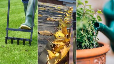 5 important jobs to do now in your garden before heavy rain arrives
