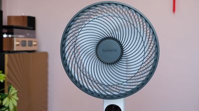 3 underrated fan features that take cooling your home to the next level