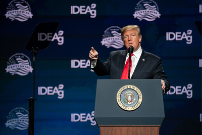 Trump Pushes to Meet Kim Jong Un Again but Kim Yo Jong Says She's 'Unaware' of US-North Korea Talks