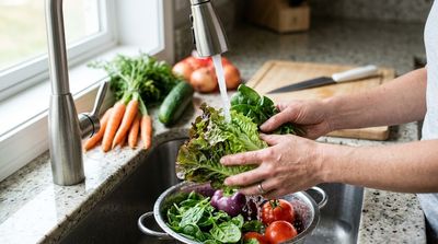 A Record Outbreak Season Is Colliding with a Federal Campaign Telling Americans to Eat More Fresh Food
