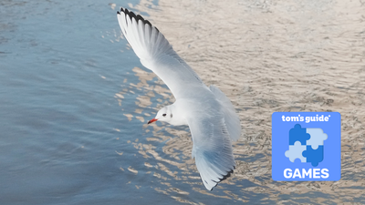 To celebrate World Photography Day, I turned my favorite nature photo into a virtual jigsaw puzzle you can solve now