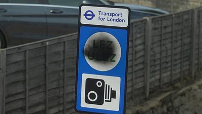 In London, children’s lungs grow faster as traffic pollution falls