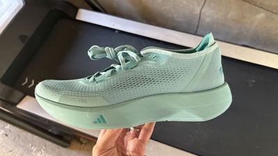 adidas discount codes for Aug 2026 |