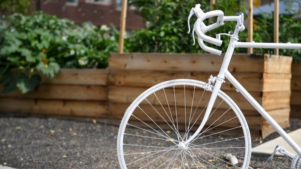 'We are profoundly shocked' - two collegiate cyclists killed by driver; seven more injured