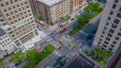 Between six lanes of Manhattan traffic, Broadway's medians are being replanted with native species to create a five-mile corridor for birds and bees