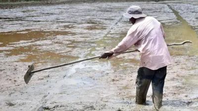 Sri Lanka braces for strongest El Nino impact in early 2027