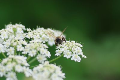 World Photography Day: 3 wildlife and landscape photographers explain why editing nature is a 'hazardous development'
