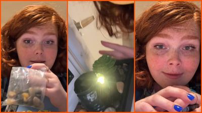 Woman brings home a $5 Dollarama fountain for a relaxing vibe. Then her dog’s panic becomes the least of her problems: ‘almost burnt my house down’