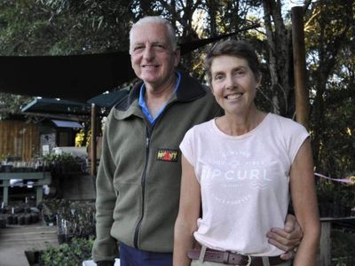 Australian couple bought a cattle farm and planted 34,000 trees. Years later, koalas and wildlife are returning