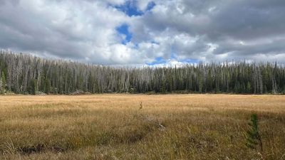 Repealing The Roadless Rule Doesn't Mean More Off-Road Trails