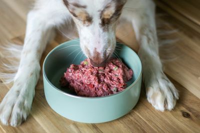 Oma's Pride Recall Update Confirms Three Dog Illnesses and No Reported Human Cases from Contaminated Lot
