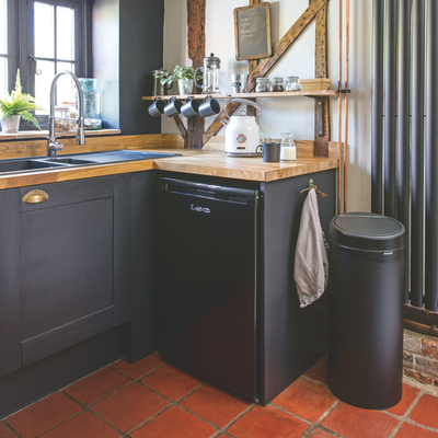 The natural way to kill maggots in a kitchen bin without relying on harsh chemicals – it costs just £10 on Amazon