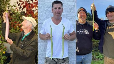 A Pennsylvania gardener grew a 54.3-cm eggplant and claimed the Guinness World Records title for the longest aubergine