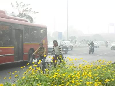 Pakistan significantly affects NCR, Punjab's annual PM2.5 concentration: Report