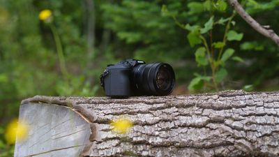 Nearly half of the trendiest compact cameras in Japan have this one feature – and one of them isn’t even “compact” at over 1,000g