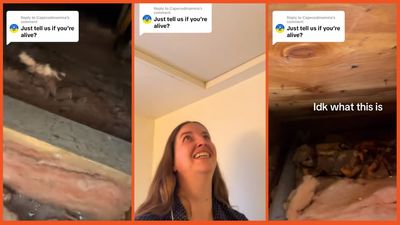 Woman who heard cell phone vibrating in her attic suspects someone’s living up there, but TikTok thinks her husband’s hiding something