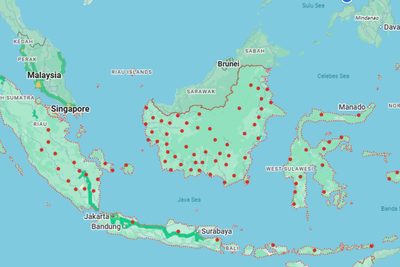 'A Vital Lung of the Earth': Indonesians Beg World for Wildfire Help While Orangutans Flee the Flames