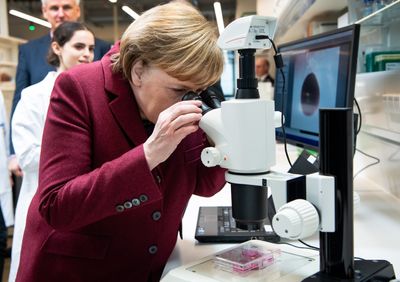 Human Brain Tissue Is Grown in Labs Worldwide and Almost No Law Anywhere Says What Is Off Limits