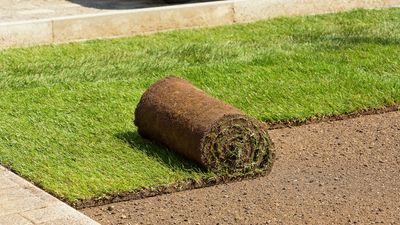 When Not to Water a New Lawn – Experts Reveal 5 Reasons to Put the Sprinkler Away