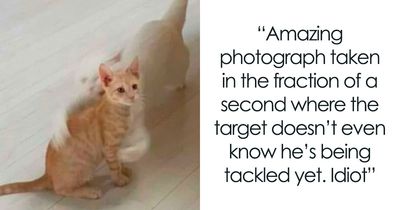 82 Of The Best Things That Have Ever Been Shared On Tumblr (New Pics)