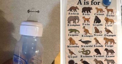 80 Baffling Images That Had People Asking Questions The Internet Answered In A Helpful Or Funny Way (New Pics)