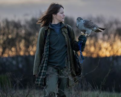 H Is for Hawk to Doctor Strange: the seven best films to watch on TV this week