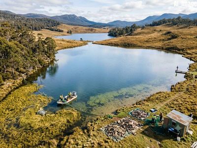 In 1995, a Tasmanian fisherman found a dead carp. What followed was a four-decade operation to remove nearly 50,000 European fish