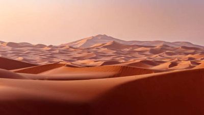UAE is turning desert sand into eco-friendly bricks, and the method cuts cement needed for construction to nearly half