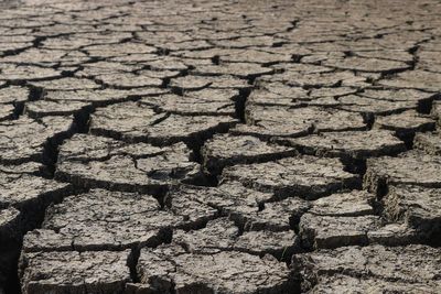'Strongest in Living Memory': Why Scientists Fear the Next El Niño Could Rewrite Weather Records